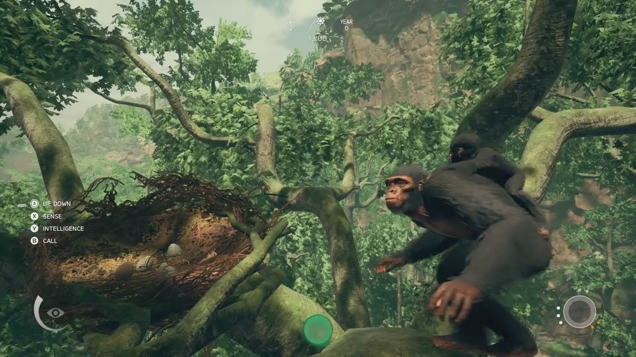 Шимпанзе играть. Анцесторс обезьяна. Игра про эволюцию обезьян. Игра про обезьян стим. Стратегия про обезьян.